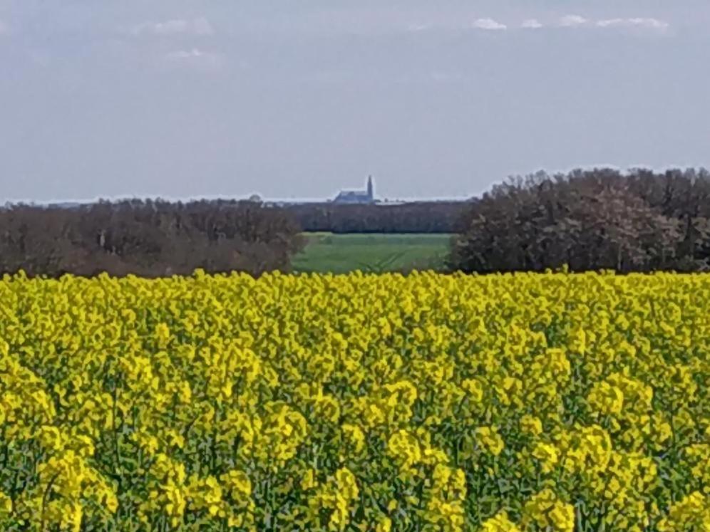 Gite De La Petite Forge Clevilliers Esterno foto